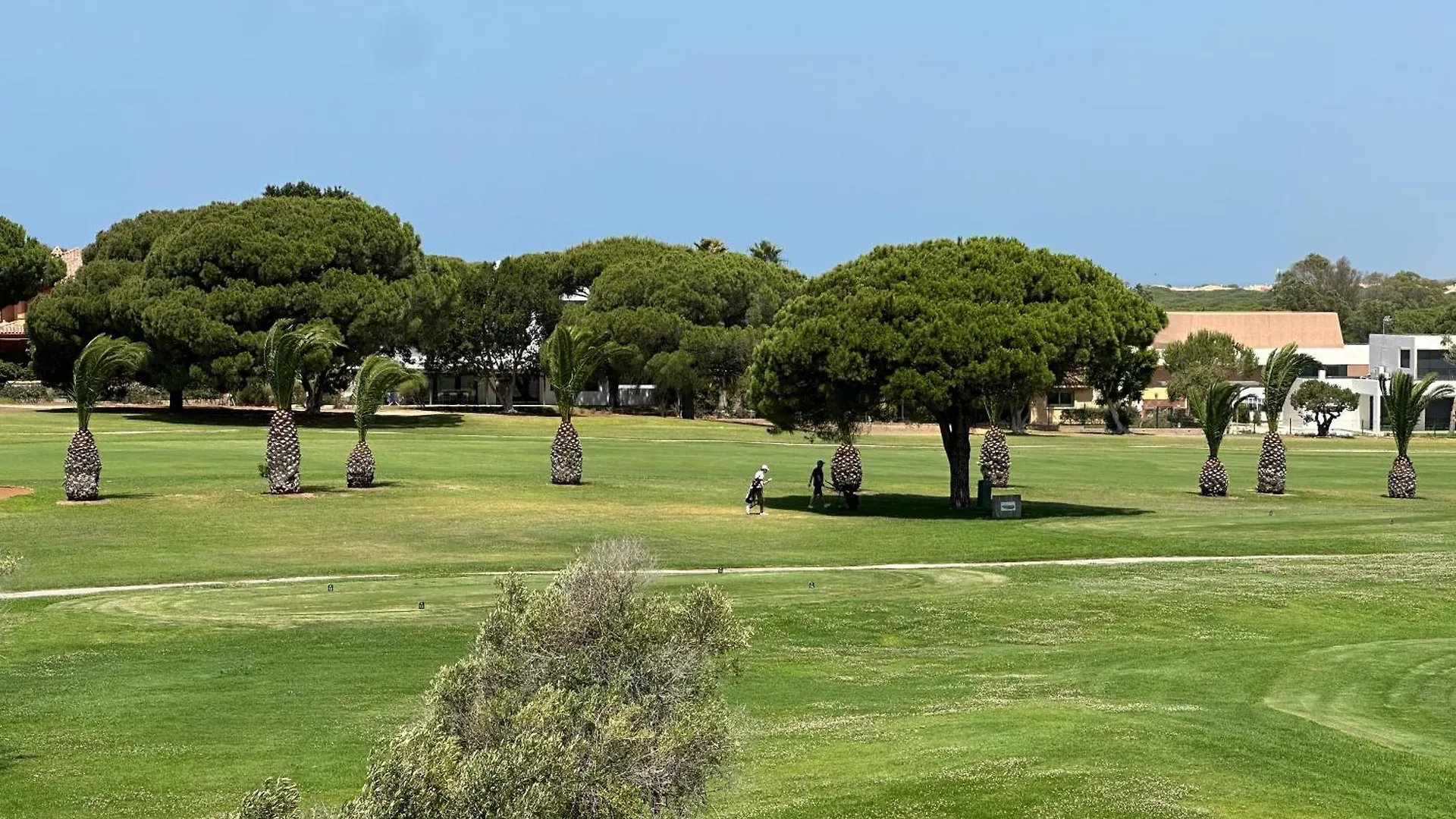 Novo Sancti Petri Green Del 11 Spain